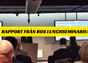 Rapport från BOS lunchseminarium