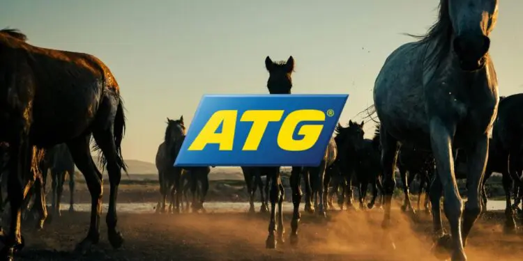 atg-h2h