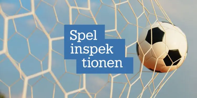 spelinspektionen-tillsyn-vadhallning