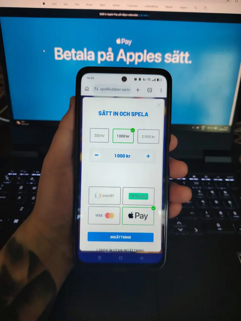 apple pay insättning