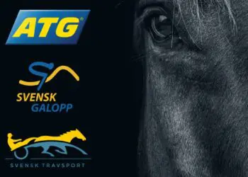 atg-kritik-spelpolitik