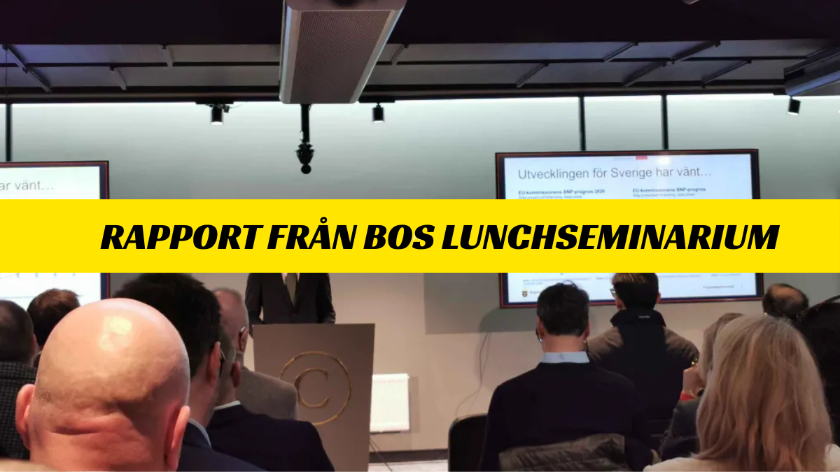 Rapport från BOS lunchseminarium