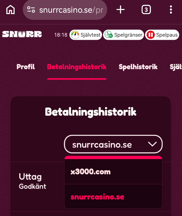 Betalningshistorik Snurr casino