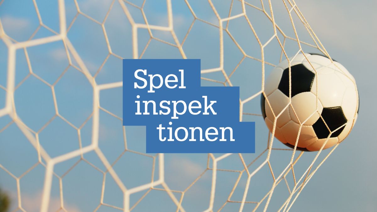 spelinspektionen-tillsyn-vadhallning