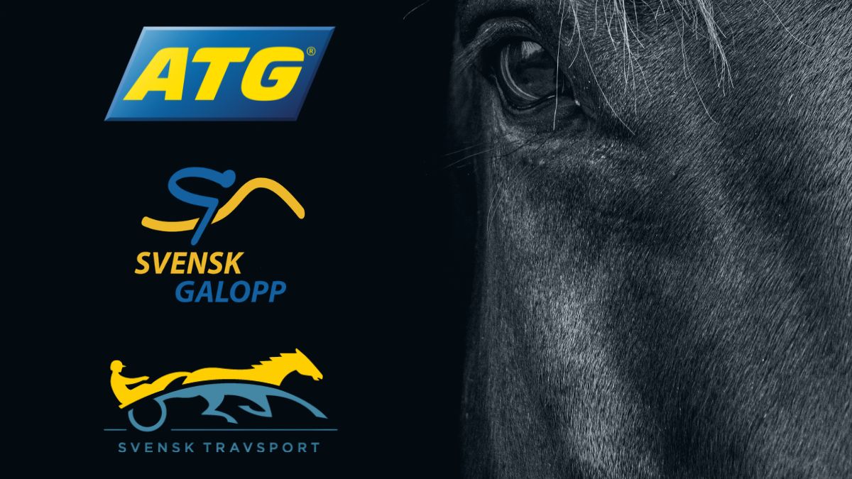 atg-kritik-spelpolitik