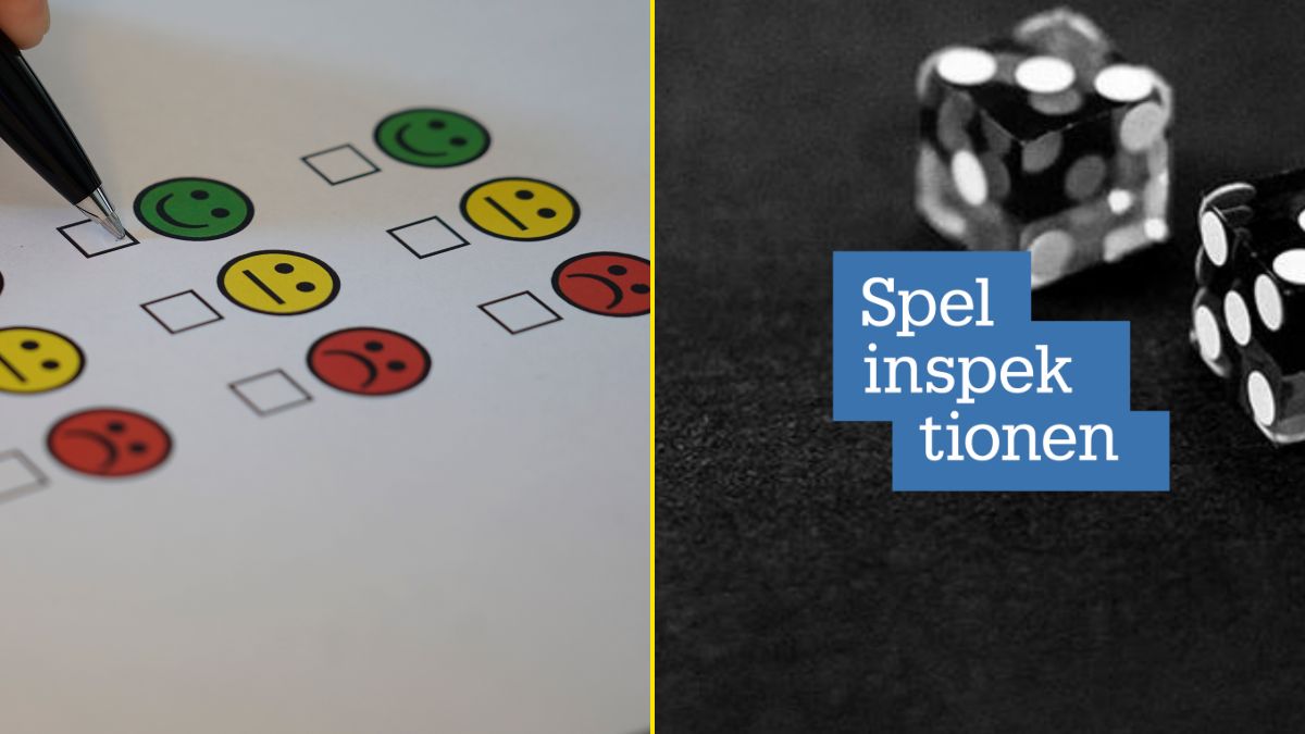 spelinspektionen-undersokning